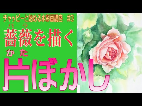 バラの茂みを水中で切る：1か月で結果を保証するステップバイステップガイド！  庭園