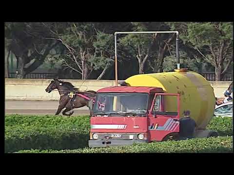 Ippodromo dei Sauri - 6' corsa del 22 settembre 2022