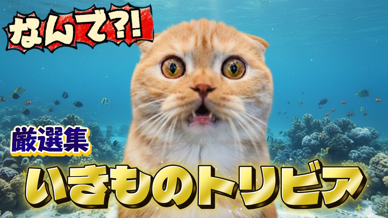 最高のムダ知識！ヘンテコ動物たちに“なんでそうなった!?”が止まらない！笑ってハマる生き物のトリビア