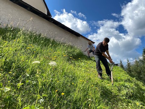 KW 27/2022 - Bauhof 90 Sekunden - Der Wochenrückblick