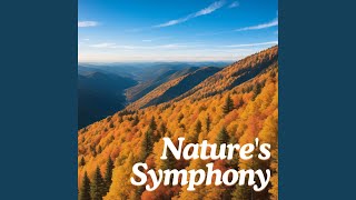 Rhythms of the Rainforest