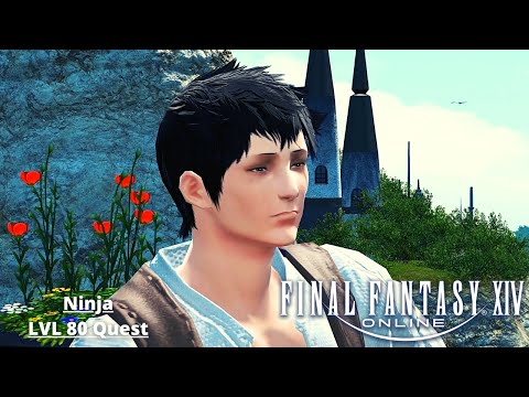 Ninja LVL 80 Job Quest