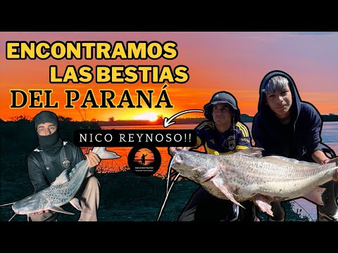 SALIÓ PATY MOUSTRO ‼️ CON NICO REYNOSO ‼️ CAMPO DE LAS PAPAS NO FALLA  🥔 ‼️PESCA Y AVENTURA ⛺️