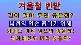 [텃밭농부. 1,311]  겨울철 빈 밭에 퇴비 및 석회비료를 미리 넣으면 좋을까?