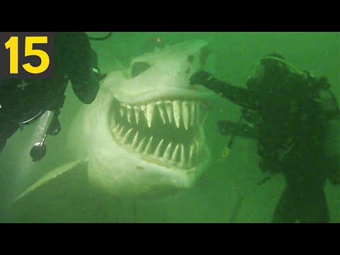 TOP 15 Strangest Things Found By Deep Sea Divers