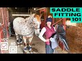 WILL MY NEW SADDLE FIT LET S FIND OUT