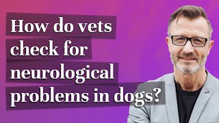 How do vets check for neurological problems in dogs?