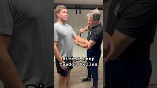 Biceps Deep Tendon Reflex is used to identify a C5 nerve root compression. #physicaltherapy