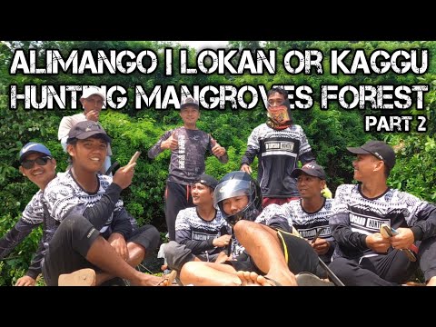 e180 Part 2 | Pangangapa Ng Alimango | Lokan , Kaggu sa Mangroves Forest
