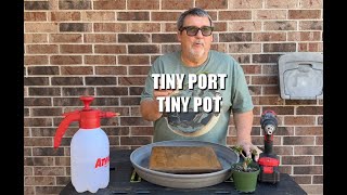 Tiny Portulcaria Tiny Potting