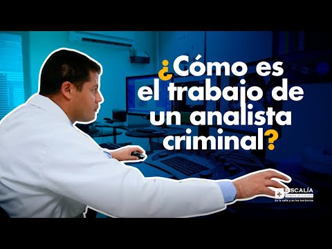 ¿Cómo es el trabajo de un analista criminal?