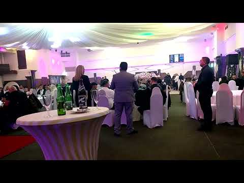 Aleksandra Ristanovic bisenija Vlada Sile Joca Francuz Mikica Tomin 2023