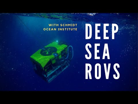 Robots in the Deep Sea (ft. Schmidt Ocean Institute)