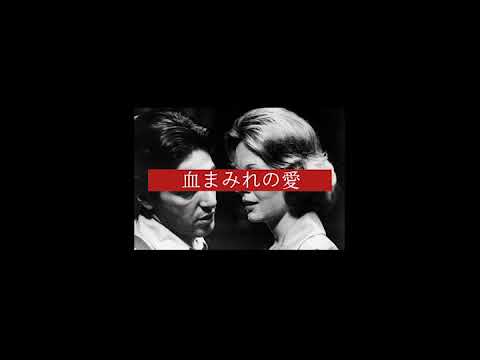 TYFAZ - KRUVINA MEILĖS BALADĖ