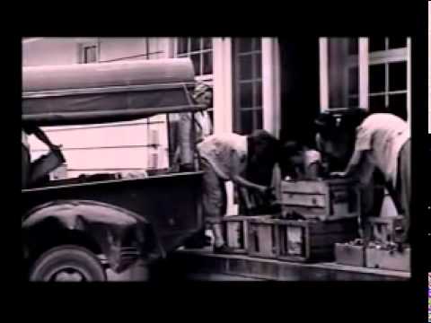 ZOOT SUIT RIOTS (HISTORY)