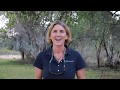 Bushwise Founder Sophie Niemann