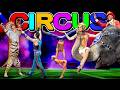 THE GREATEST SHOW ON EARTH THE BEST CIRCUS 20th CENTURY TIGERS ELEPHANTS CLOWNS And More
