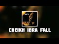 Youssou N'dour - CHEIKH IBRA FALL | Album Sant (Egypt)