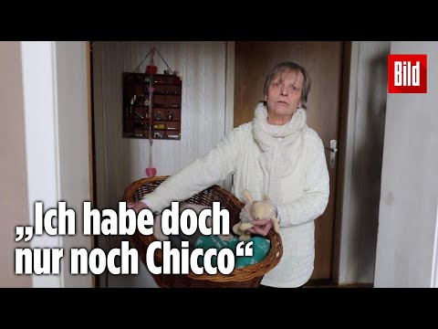 Nachbar klaut 70-jähriger Frau ihren kleinen Hund
