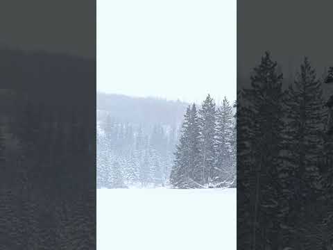 Nothing better than watching the snow fall on the lake at Christmas! #SaskLakes