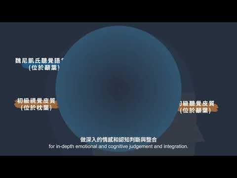 親子共讀分齡秘笈全攻略影片