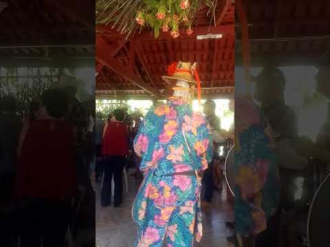 folia de Reis Aragoiânia Goiás