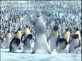 Happy Feet Boogie Wonderland