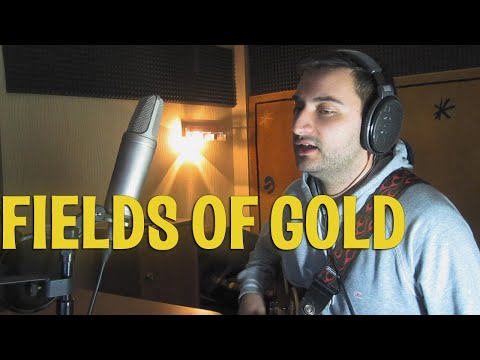 Dmitry F - Fields Of Gold (Sting Acoustic Cover)