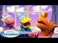 Summer Games With The Pajanimals 20 Minutes Of Cartoons For Kids Pajanimals