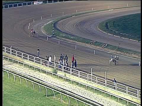 Trotto 01/10/2017 - corsa pony