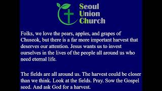 Jesus Celebrates Chuseok (John 4:31-38) Rev. Robert Hale | 2026.09.27