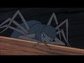 Charlotte S Death