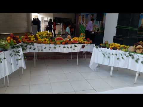 Fiesta de la cosecha iglesia Cristiana Filadelfia Garzón .