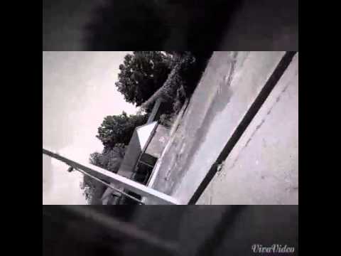 Young Niggas Y$H$M$T