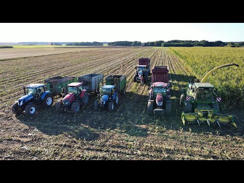 T5'ka na dwa koła! 🔥 OPOROWE koszenie kukurydzy w GR Soszyński