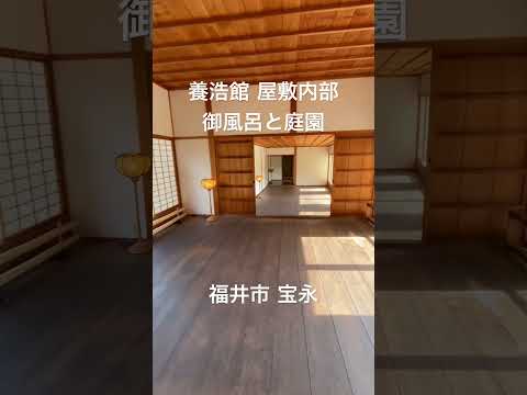 bassin de jardin artificiel-idées-décoration-originale