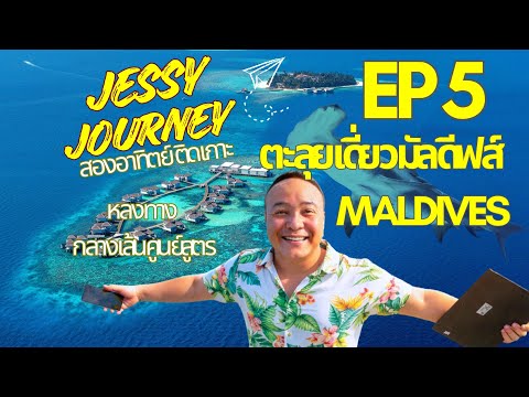 คลิกเพื่อดูคลิปวิดีโอ