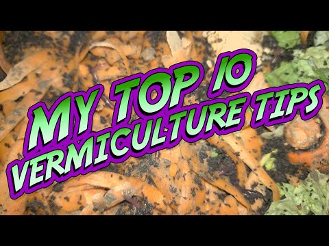 My Top 10 VERMICULTURE TIPS