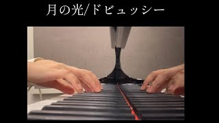 Download lagu 【ピアノ演奏】月の光【ドビュッシー】 mp3 Download lagu 【ピアノ演奏】月の光【ドビュッシー】 mp3