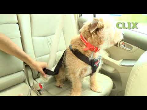 Миниатюра изображения товара Ремень безопасности для собак Halti Clix CarSafe LC03 (L, черный)