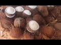 Vegetable Cuttings Skills Indian Lady Vegetable Cutting Skills