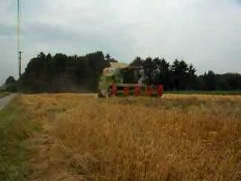 Loonw. Claeys W uit Ursel gerst dorsen