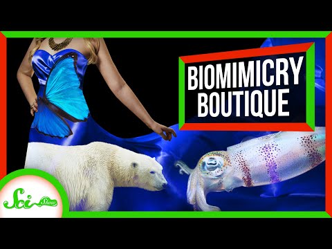 鱿鱼蛋白（Squid Proteins, but Make Them Fashion）