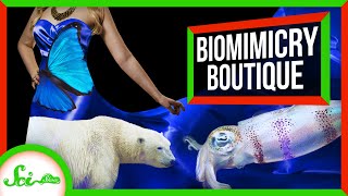 Squid Proteins, but Make Them Fashion