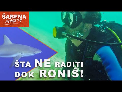 Andrija Jurašin - ŠTA NE RADITI DOK RONIŠ!