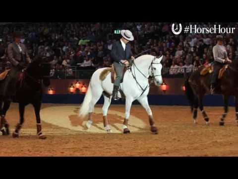 , title : 'Portuguese Lusitanos at Olympia Horse Show'