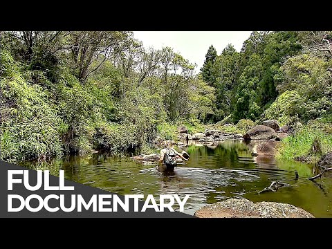 Somewhere on Earth: Hawaii