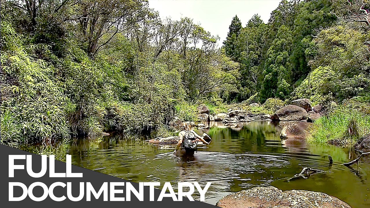 Somewhere on Earth: Hawaii