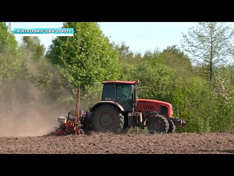 Посевная кукурузы видео