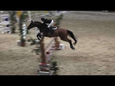 Duru Ayan-Gorazad - 15.02.2020 Kaya Baban Ligi Kış Ligi  105 cm Y, G, GY, YT, YP 4.sü